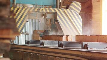 Sawing machine at wood production factory. Timber material processing and cutting at sawmill. Manufacturing process at lumber mill. Automatic Circular Sawing Machine 3 video