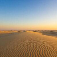 The desert is empty and has sand dunes photo