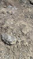 Closeup small stone background. Natural background, cast gravel and sand texture. Ground level view. Texture of gravel and soil for the road. photo