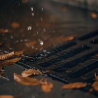 Rainy day with autumn leaves on drain photo