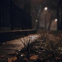 A dark night scene with grass and a fence photo