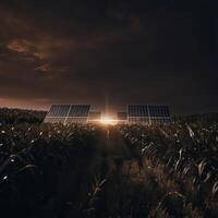 Solar panels in a corn field at sunset photo