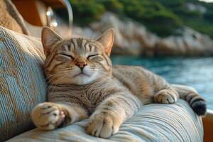 a cat lounging on a cushioned seat on the deck of a yacht, paws stretched out, calm sea in the background, soft natural lighting photo