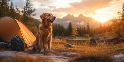 a happy dog sitting by a tent at sunrise, surrounded by camping gear, with a scenic mountain backdrop and copy space on the right, warm golden light photo