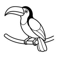 Black and white toucan perched on a branch vector