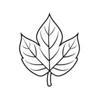 leaf outline on white background vector