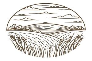rustic landscape illustration of wheat fields and rolling hills under a cloudy sky vector