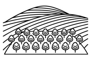Orchard landscape rows of fruit trees with rolling hills in simple line art illustration vector