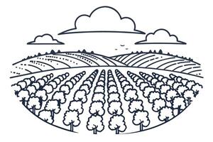 lush agricultural fields with tree rows and rolling hills under cloudy sky line art illustration vector