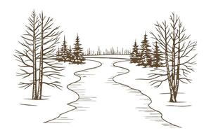 Winter landscape with winding path through bare trees and pines, tranquil forest scene vector
