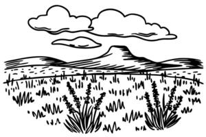 Mountain in arid landscape with clouds, dry grass, and plants in black and white illustration vector