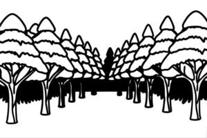 Symmetrical forest pathway illustration with lined tree canopy vector