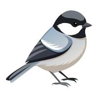 a bird with a black and white head and a gray body vector