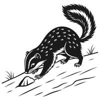 Black And White Skunk On Log vector