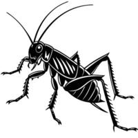 Black And White Cricket Illustration vector