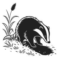 Badger In Grassy Field Black And White vector