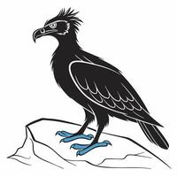 Black Bird Graphic Illustration Design vector