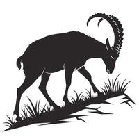 Alpine Ibex Walking Silhouette Image vector