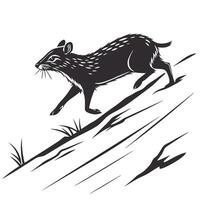 Agouti Running Through The Forest Silhouette vector