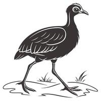 Elegant Black Courser Bird Design vector
