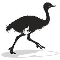 Emu Walking Silhouette On White Background vector