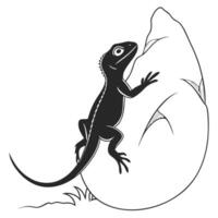 Lizard Climbs On A Boulder Illustration vector