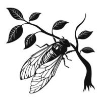 Cicada On Branch Black And White vector