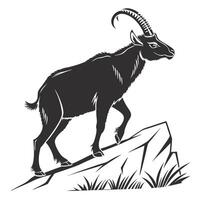 Ibex On Rocks Black And White vector
