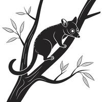 Opossum Climbing A Tree In Silhouette vector