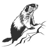 Marmot Standing On The Branches vector