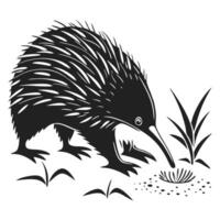 Monochrome Echidna Foraging Graphic Design Element vector