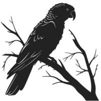 Parrot Silhouette Perched On A Branch vector