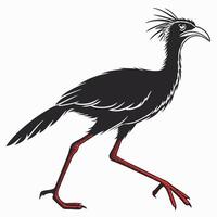 Elegant Seriema Bird Black Image vector