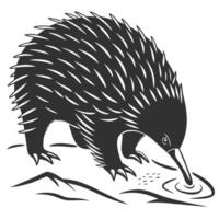 Echidna Drinking Water Monochrome Illustration vector