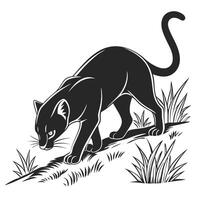 Black Panther Prowling Through The Grass vector