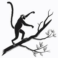 Spider Monkey Silhouette On Branch vector