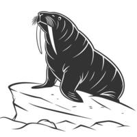 Walrus On Iceberg Monochromatic Graphic vector