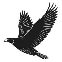 Silhouette Of Flying Hawk Image vector