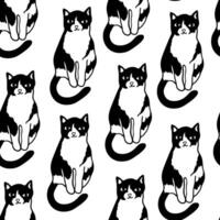 seamless pattern with black and white cat in doodle style vector