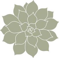 Sage Green Succulent Rosette Top View vector