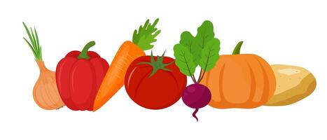 Set of ripe vegetables on a white background. Tomato, onion, pumpkin, potato, carrot, beetroot and pepper. vector