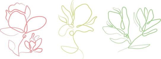 set of simple icons of various magnolia flower buds in line art style drawn with a colored outline, for tattoos, logos or other designs vector