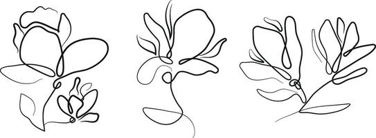 set of simple icons of various magnolia flower buds in line art style drawn with a black outline, for tattoos, logos or other designs vector