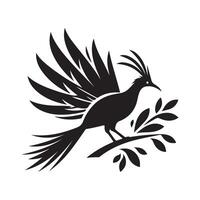 Superb Lyrebird Silhouette for Nature Inspired Designs vector