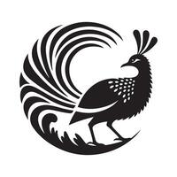 Superb Lyrebird Silhouette for Posters vector