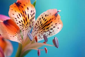 A close up of a flower with spots on it plant photo