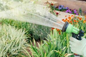 Hose attachment with diffuser for watering and irrigation in the home garden. photo
