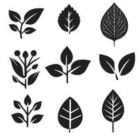 Leaf silhouette icon bundle on a white background 10 eps vector