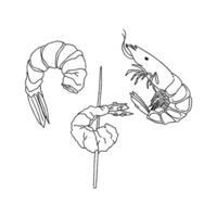 Shrimp and shrimp on a skewer coloring page vector