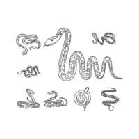 Snakes and snakes coloring pages vector
